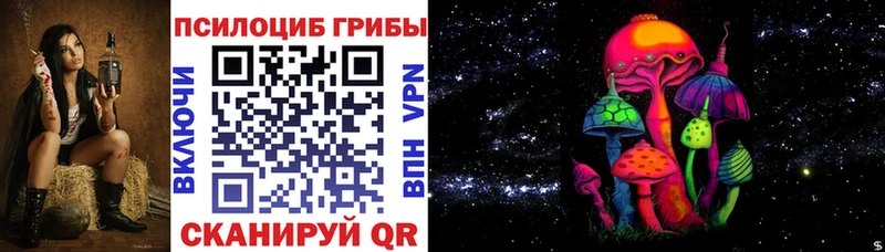 Псилоцибиновые грибы Psilocybe  Павловский Посад 