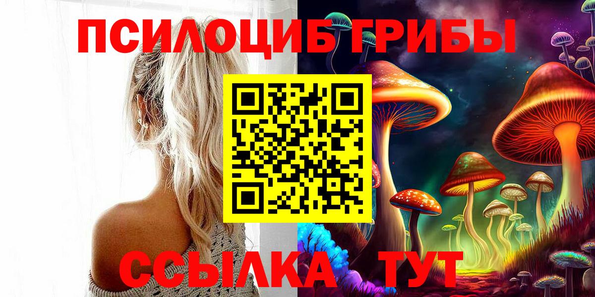 Павловский Посад  Псилоцибиновые грибы мухоморы  Вход с VPN 